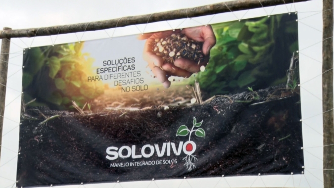 Mais produtividade e menos custo de produção com mix de plantas de coberturas e manejo integrado do solo