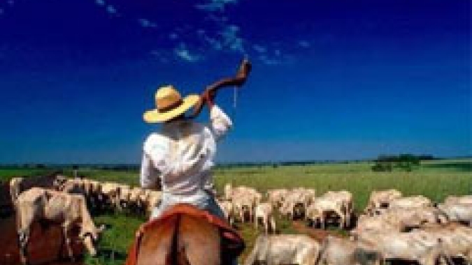 Dia Nacional da Pecuária: Acrimat celebra atividade que alimenta o mundo