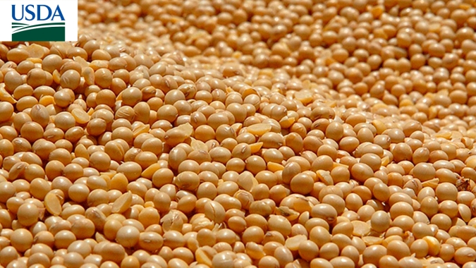 USDA: Vendas semanais de soja dos EUA passam de 1 mi de t e mercado recebe bem os números