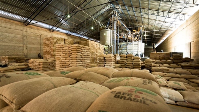 OIC aposta em aumento na safra global de café