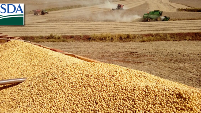 USDA deve reduzir produção e estoques de soja e milho dos EUA nesta 6ª feira