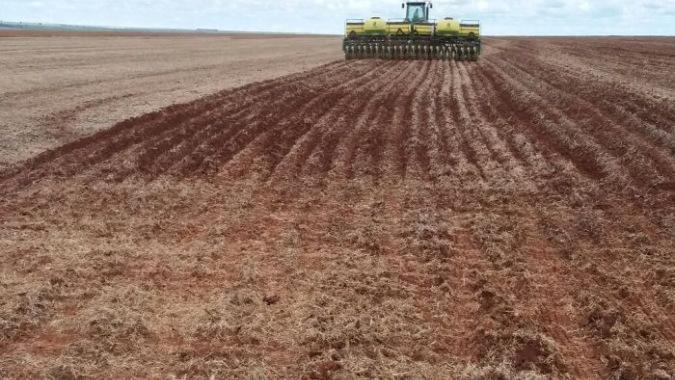 Plantio da segunda safra de milho já começou no Mato Grosso