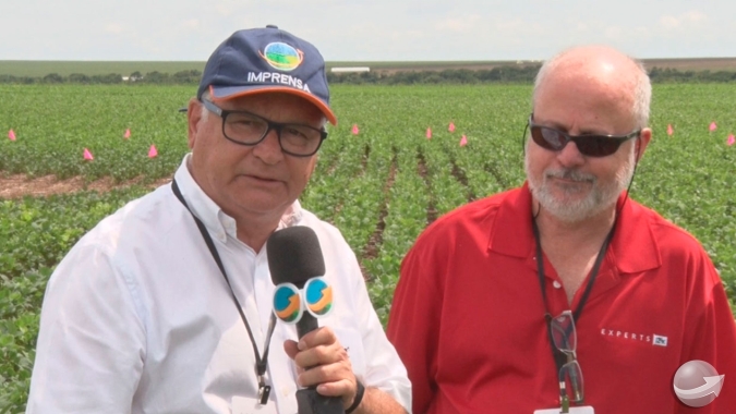 Além de protocolo de boas práticas, Dicamba terá uma 'bula' para que haja segurança nas aplicações