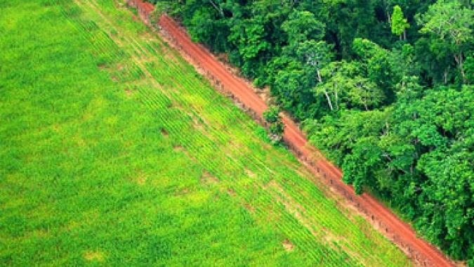 Com atuação do Sistema FAEP, TRF4 mantém aplicação do Código Florestal no Paraná