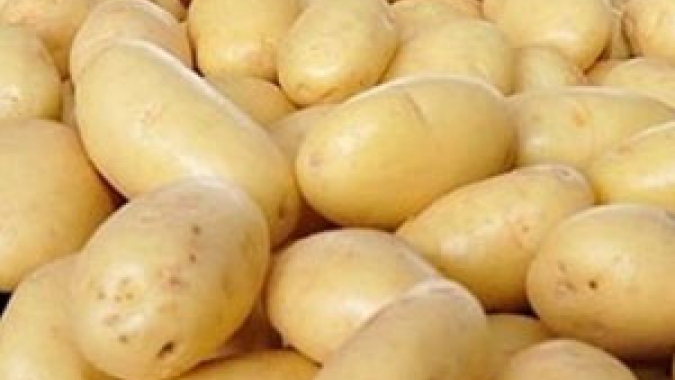 Batata: com avanço na safra, preços seguem em queda no atacado