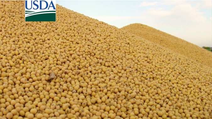 USDA informa vendas semanais de soja da safra nova dos EUA acima de 3 mi de t