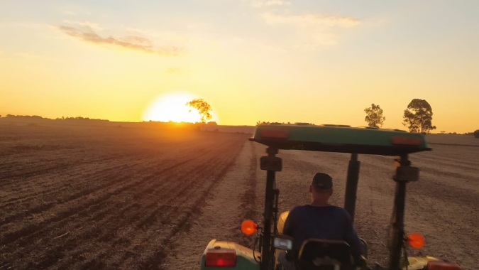 Governo estuda mudar zoneamento agrícola para 2ª safra de milho em 2022