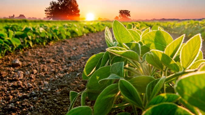 Áreas produtivas regularizadas mostram menor incidência de focos de calor, aponta Inpe