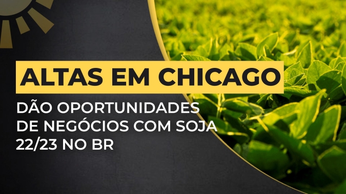 Recentes altas em Chicago dão oportunidades de negócios com soja 22/23 no BR