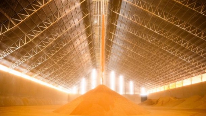 Brasil avança no mercado global de DDG/DDGS e registra 879 mil toneladas exportadas em 2025