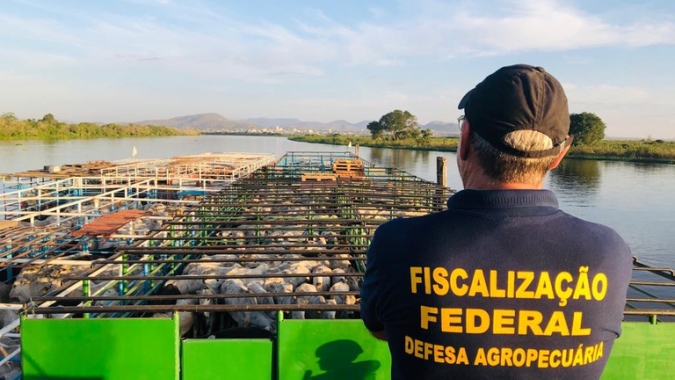 Nova lei amplia adicional de fronteira e reforça atuação da defesa agropecuária nas regiões estratégicas do país