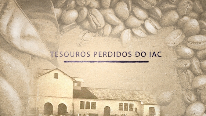 Pesquisa brasileira pode revolucionar produção de cafés especiais no país