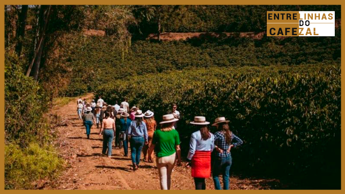 Educar para Transformar: O mundo repleto de oportunidades que nasce através da cafeicultura