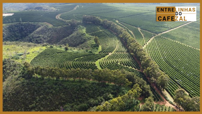 Em uma das áreas mais lindas do Cerrado, cafeicultura significa continuar um legado em busca de qualidade