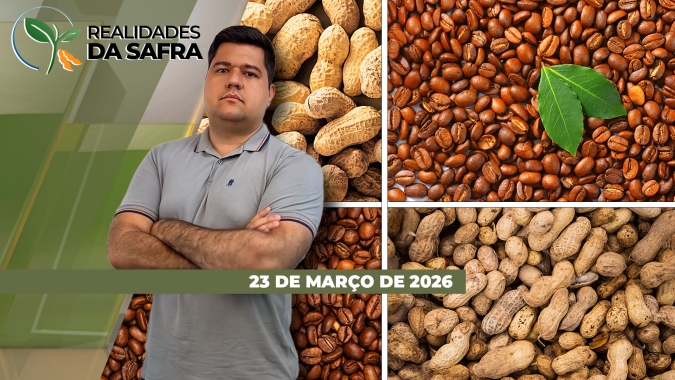 Safra de soja do Tocantins deve crescer mais de 12% e Cooxupé descarta supersafra de café