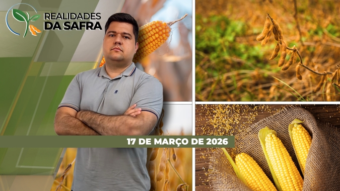 Soja do Rio Grande do Sul deve ter menor produtividade do Brasil, enquanto Rondônia espera boa safra