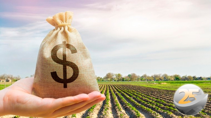 Commodities: Recessão pressiona no primeiro momento, mas fundamentos devem trazer preços de volta ao eixo, explica economista