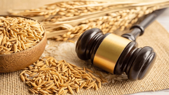 Inscrições Abertas para a Edição 2024 do Curso de Formação em Direito Agrário: Uma Oportunidade Única para Estudantes de Direito