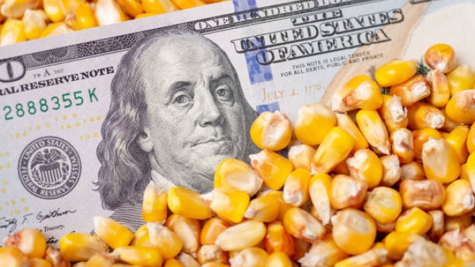 Milho testa novas altas na B3 nesta 3ª feira e encontra suporte em novas altas do dólar