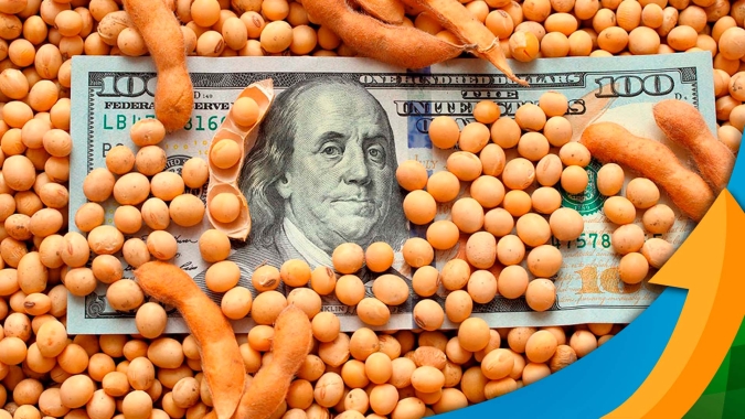 Soja sobe em Chicago nesta 2ª e, no Brasil, produtor deve seguir atento às estratégias de comercialização