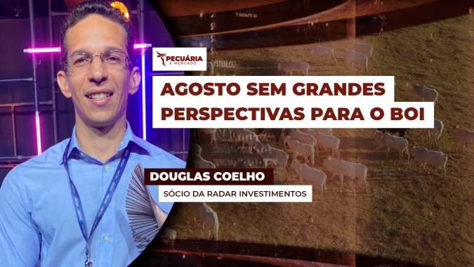 Boi: mês de agosto começa com escalas formadas e sem perspectivas de acordo com EUA