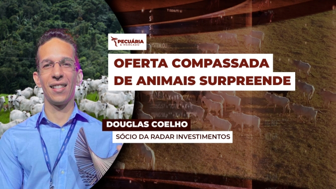 Oferta cadenciada de animais e carne no atacado em patamares elevados dão suporte ao movimento de alta da arroba do boi