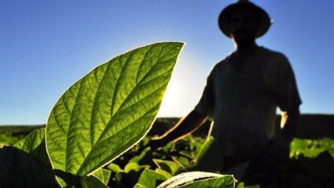 Projeto Paisagens Rurais capacita técnicos da Bahia, Mato Grosso do Sul e Minas Gerais