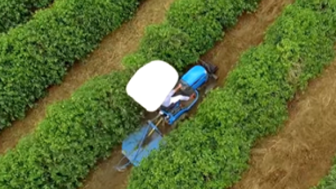 Cafeicultores estão alcançando rentabilidade e versatilidade nos trabalhos de campo com novo trator subcompacto