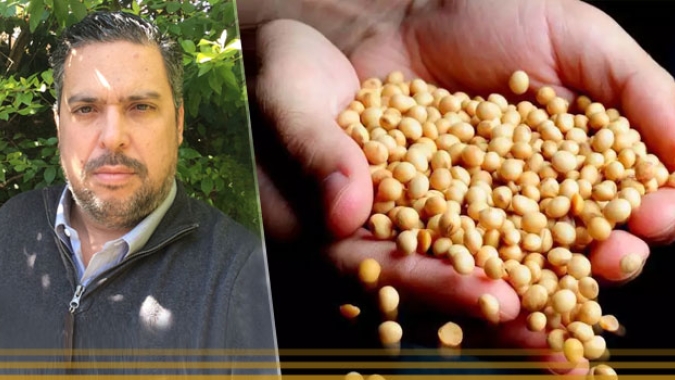 Recuperações Judiciais no Agro: Danos econômicos, indícios de crimes e fraudes, por Eduardo Lima Porto