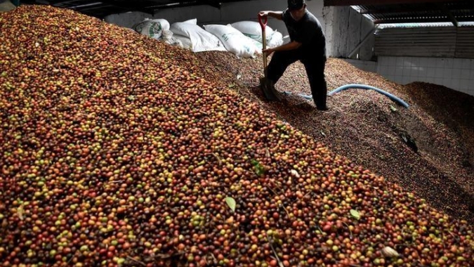 Café: Bolsa de NY encerra sessão com quedas de mais de 100 pontos