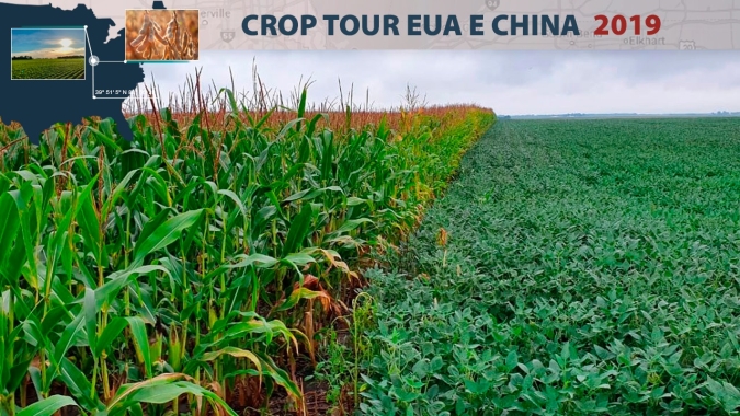 Crop Tour: Após mais de 1 mil km, preocupação é com a desuniformidade da safra e das informações do USDA