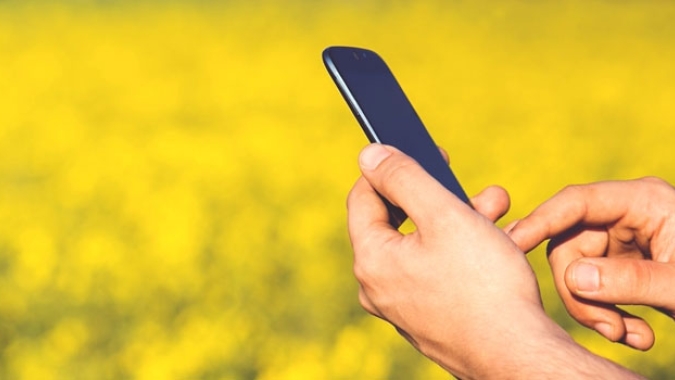“O marketing do Agro deve receber com entusiasmo a inovação que está vindo com a Inteligência Artificial”