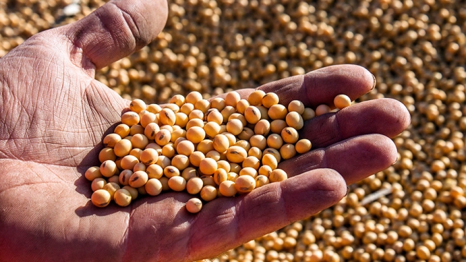 MS: Commodities garantem superávit de US$ 5 bilhões na balança comercial do Estado
