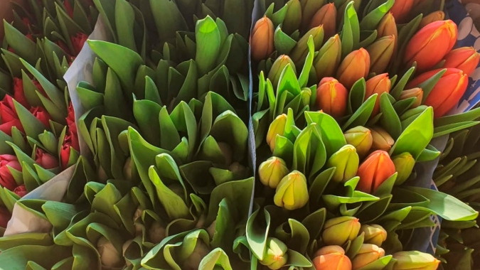 CNA pede apoio e Ministério da Agricultura recomenda reabertura de floriculturas para o dia das mães