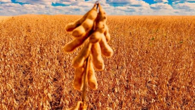 Matopiba encerra safra  de soja com boas produtividades apesar dos sustos climáticos ao longo do ciclo