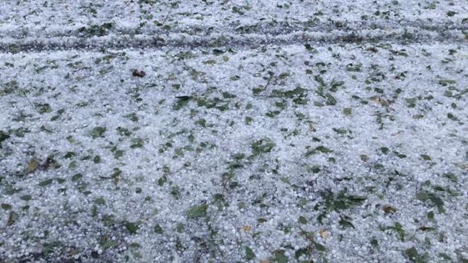Emater-MG aponta áreas prejudicadas pela chuva da última terça-feira
