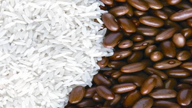 Projeto prevê juro zero em financiamentos do Pronaf para arroz, feijão e mandioca