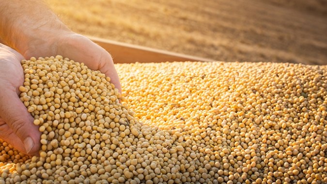 DATAGRO: Comercialização de soja na safra 2019/20 do Brasil avança para 87,5% e supera recorde