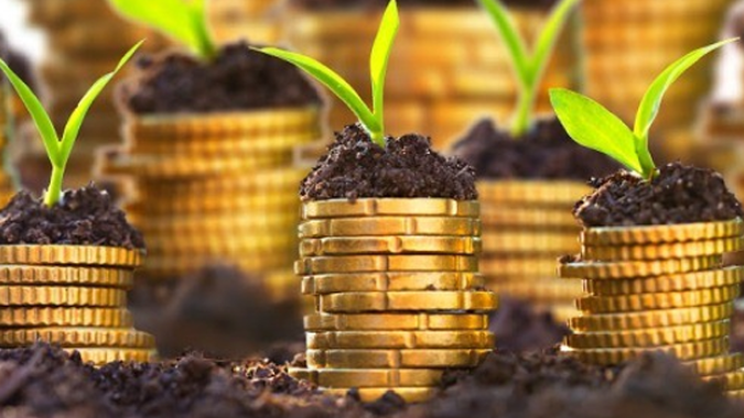 IPPA/Cepea: Índice do Cepea reage em março