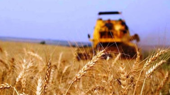 USDA: Vendas semanais de trigo 21/22 dos EUA totalizam 617,10 mil t; dentro das expectativas