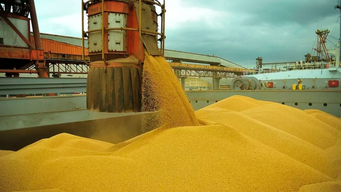 FCStone eleva projeção de safra de soja do Brasil para 124,22 milhões de t