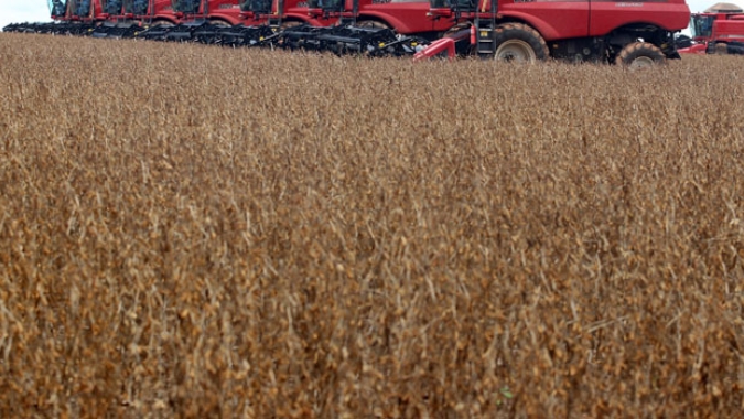 Plantio de soja tem rápido avanço e chega a 54% na Argentina