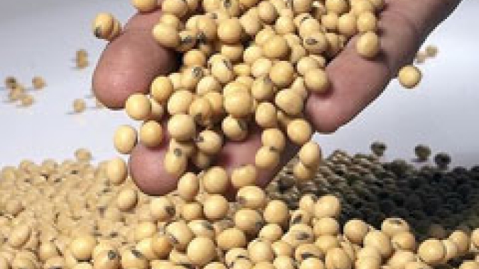 Câmara Setorial da Cadeia Produtiva da Soja discute medidas emergenciais para crise no agronegócio