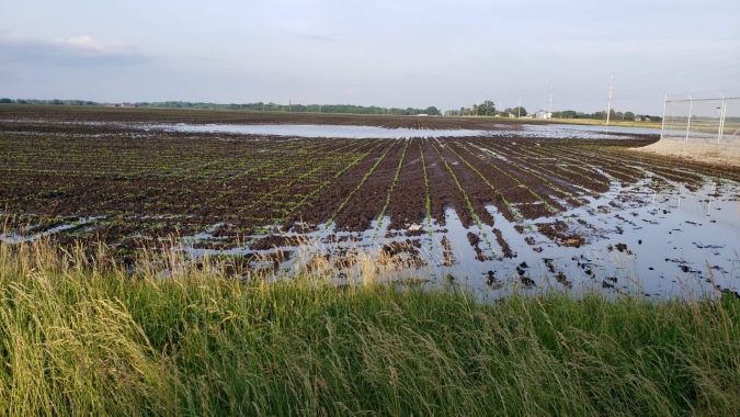 USDA terá de refazer levantamento de área em 14 estados e rever seus dados