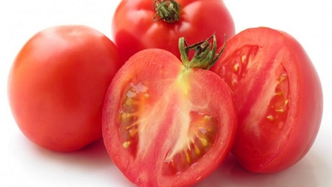 Tomate: Lavouras de Caçador (SC) estão sadias e produtivas