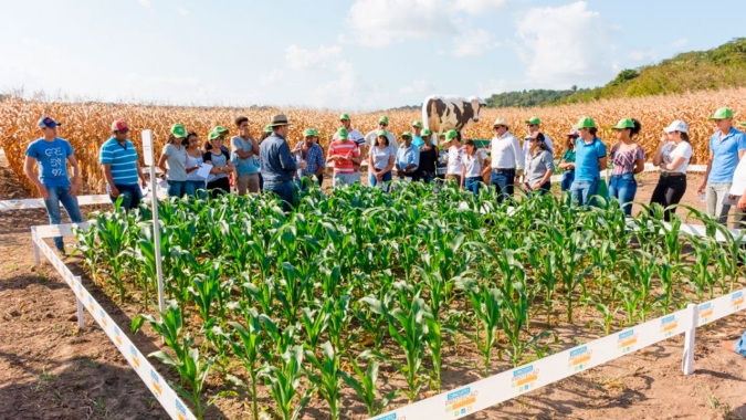 Programa que integra iniciativa privada e instituições de ensino habilita pequeno produtor a produzir com mais eficiência