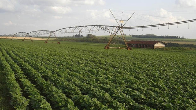 Irrigação cresce exponencialmente no Brasil e aumenta importância da gestão eficiente de recursos