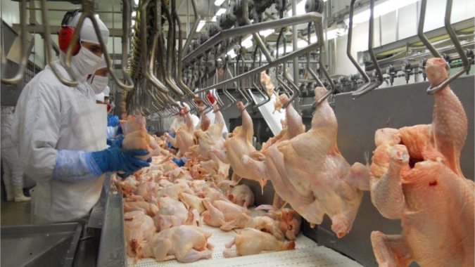 Faturamento por média diária com exportação de carne de frango na 2ª semana de setembro chega a 39% em relação a setembro/23