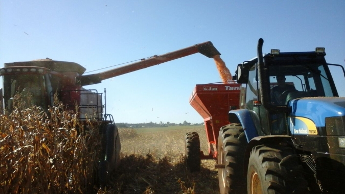 Com colheita de milho atrasada, Argentina segue com produtividades variadas, aponta Bolsa de Buenos Aireis