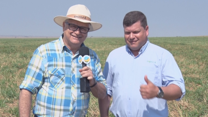 Projeto Construindo Solos no MS tem 15 mil ha prontos para receber a soja com solo descompactado